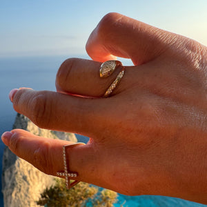 Snake Ring